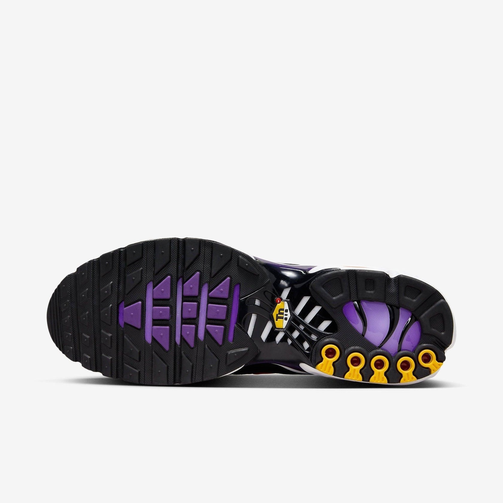 Nike Air Max Plus TN – Voltage Purple